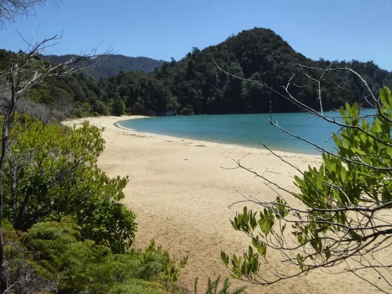 Image from Abel Tasman Track. 1