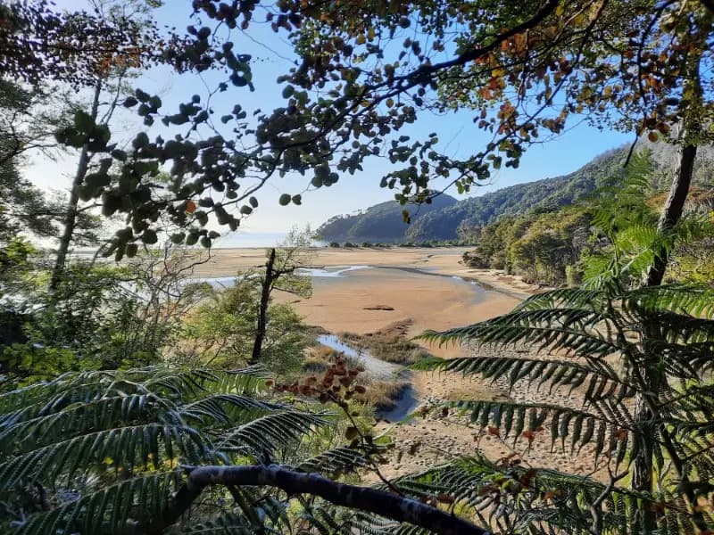 Image from Abel Tasman Track. 1