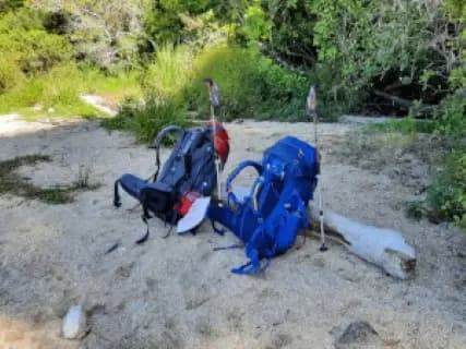 Image from Abel Tasman Track. 3