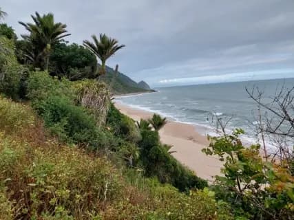 Image from Heaphy Track. 1