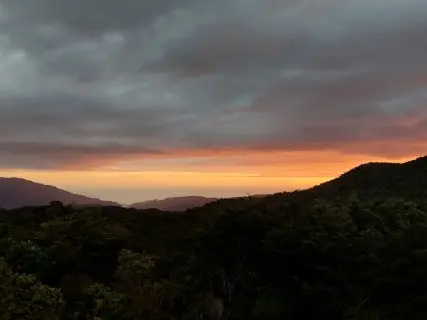 Image from Heaphy Track. 2