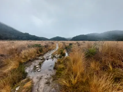 Image from Heaphy Track. 3