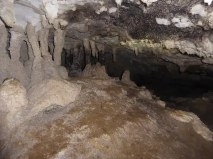Image from Heaphy Track. 4