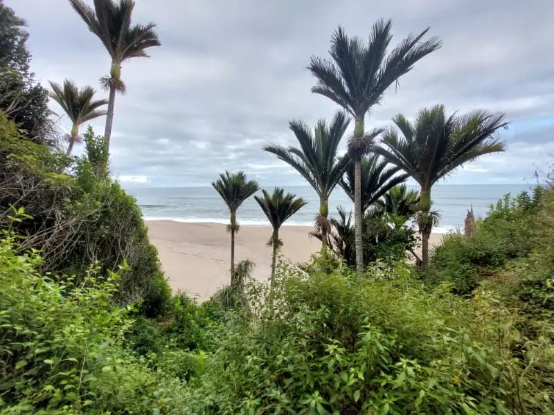 Image from Heaphy Track. 1