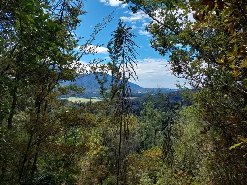 Image from Heaphy Track 1
