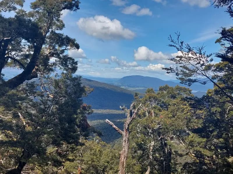 Image from Kepler Track. 1