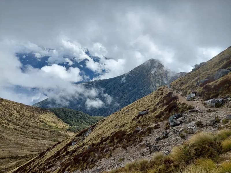 Image from Kepler Track. 1