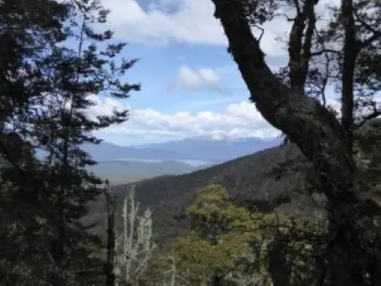 Image from Kepler Track. 1