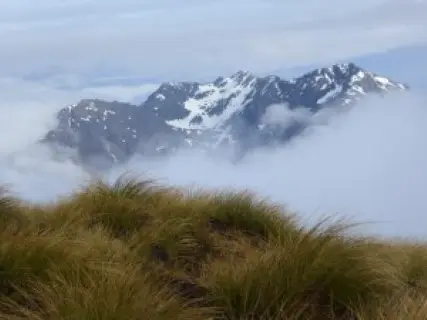 Image from Kepler Track. 2