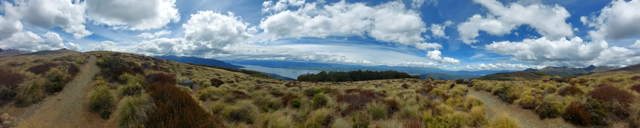 Kepler Track