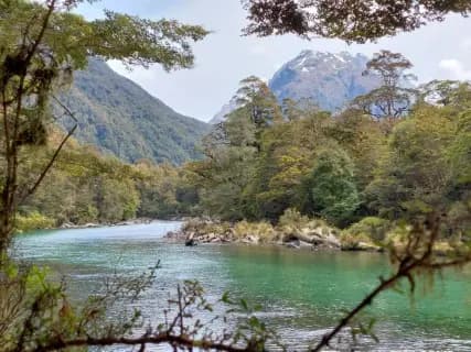 Image from Milford Track. 1