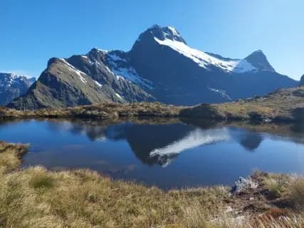 Image from Milford Track. 1