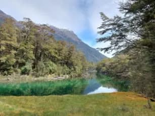 Image from Milford Track. 1