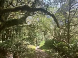 Image from Milford Track. 3