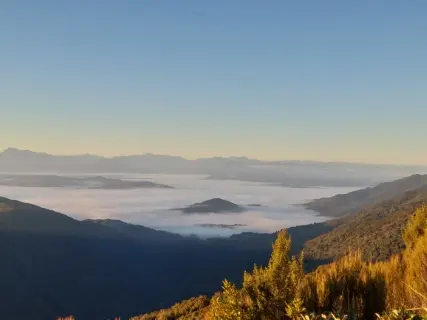 Image from Paparoa Track. 1