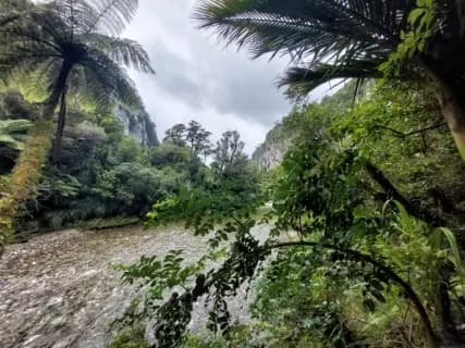 Image from Paparoa Track. 2