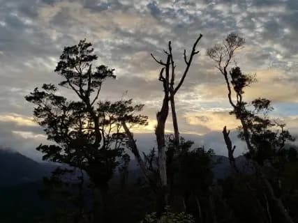 Image from Paparoa Track. 3