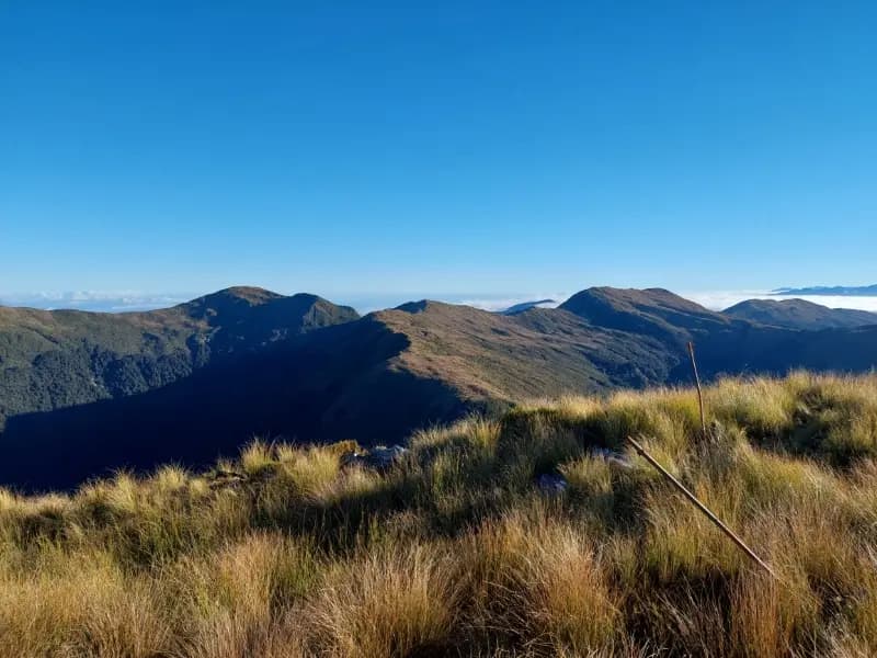 Image from Paparoa Track 1
