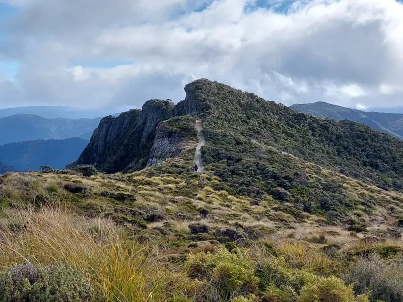 Image from Paparoa Track 1
