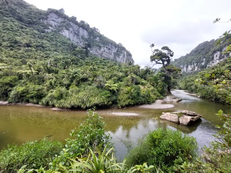 Image from Paparoa Track 1