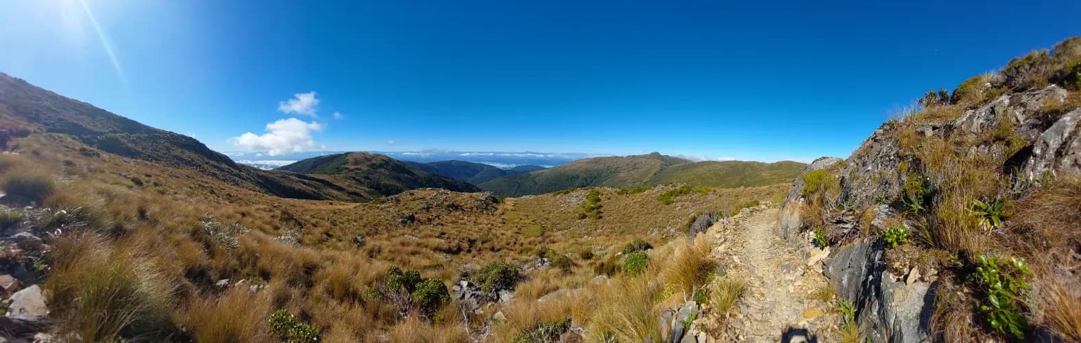 Paparoa Track