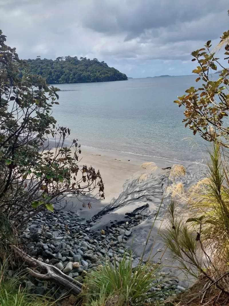 Image from Rakiura Track. 1