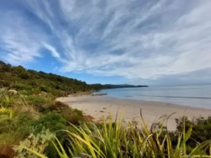 Image from Rakiura Track. 1