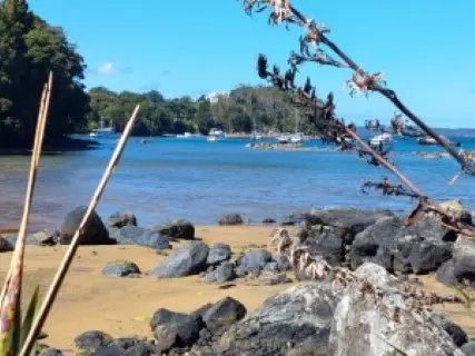 Image from Rakiura Track. 2