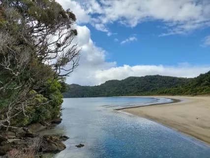 Image from Rakiura Track. 4