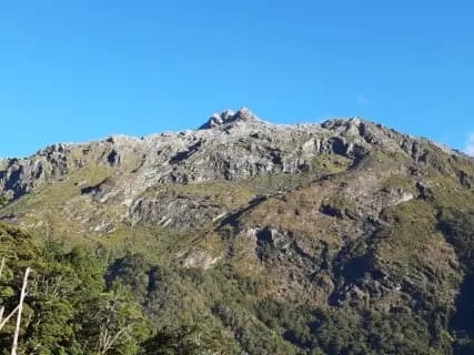 Image from Routeburn Track. 1