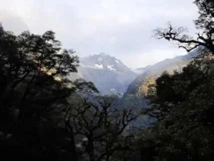 Image from Routeburn Track. 2