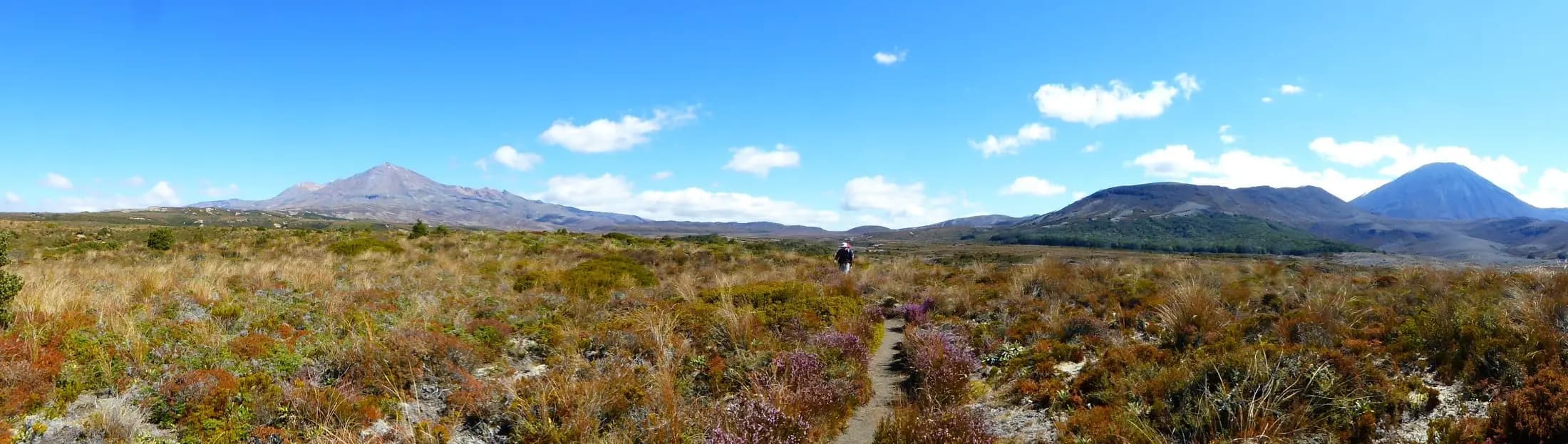 Tongariro Northern Circuit
