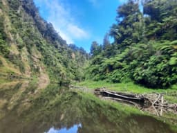 Whanganui Journey Trip