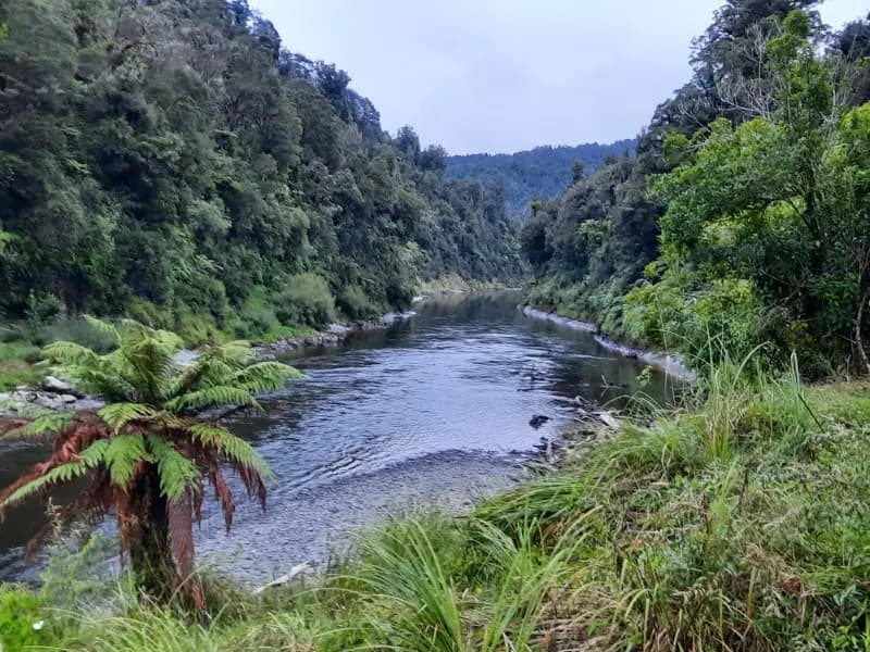 Image from Whanganui River. 1