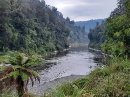 Image from whanganui River. 1