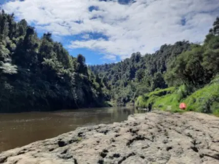 Image from whanganui River. 2