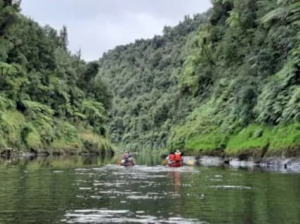 Image from whanganui River. 3