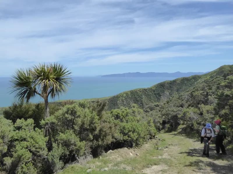 Image from Kawakawa Station 1