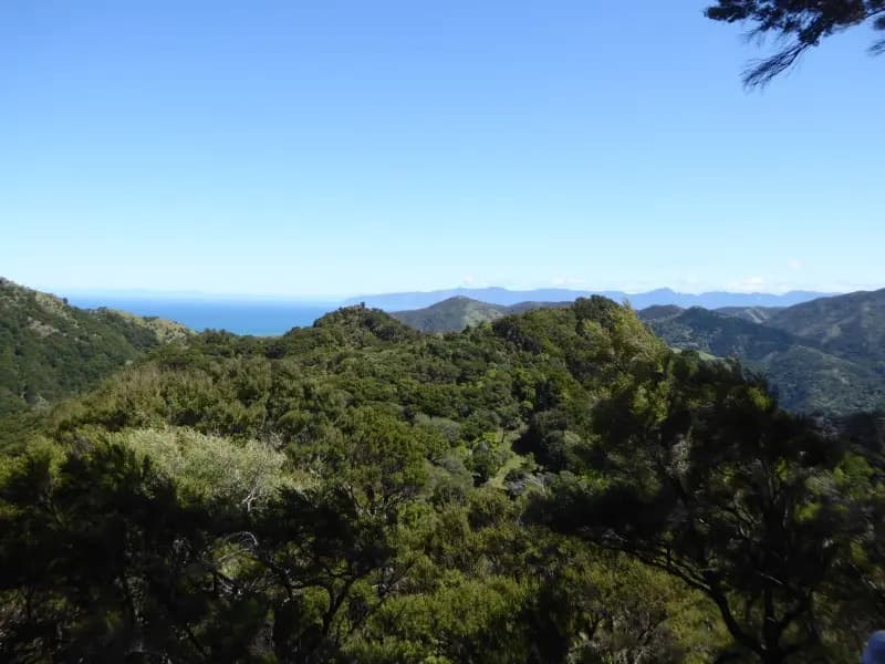 Image from Kawakawa Station 1