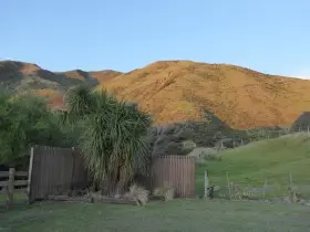 Image from Kawakawa Station. 2