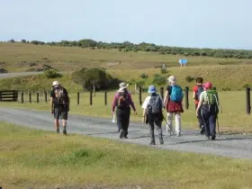 Image from Kawakawa Station. 3