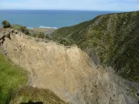 Image from Kawakawa Station. 4