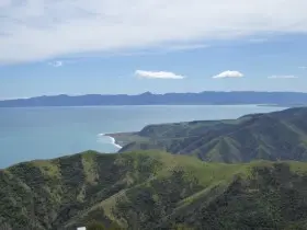 Image from Kawakawa Station. 5