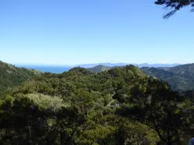 Image from Kawakawa Station. 7