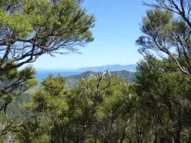 Image from Kawakawa Station. 8