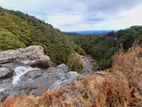 Image from Ohakune Region. 1