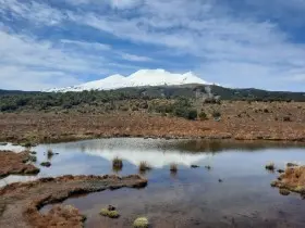 Image from Ohakune Region. 2