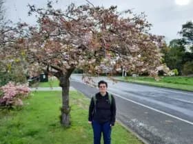 Image from Ohakune Region. 3