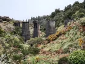 Image from Ohakune Region. 4