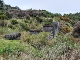 Image from Ohakune Region. 5